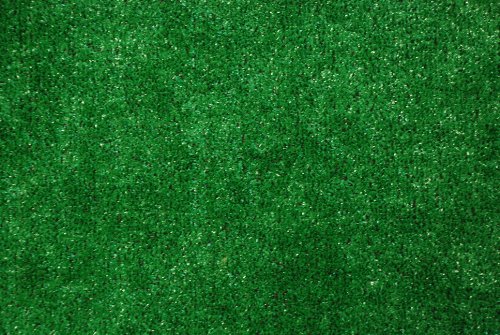 Green Astroturf Image